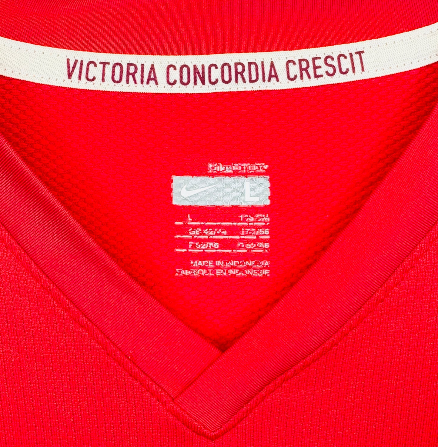 2008 2010 Arsenal Nike Home Football Shirt FABREGAS 4 Mens Large